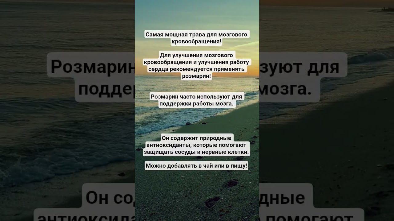 Самая мощная трава для мозгового кровообращения! #розмарин #здоровье #самопомощь #советдня