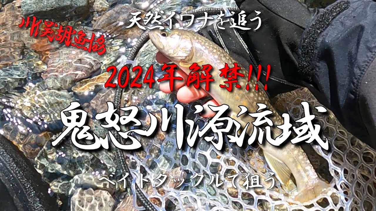 【渓流ルアー】 開幕!!! 鬼怒川源流域の天然イワナ