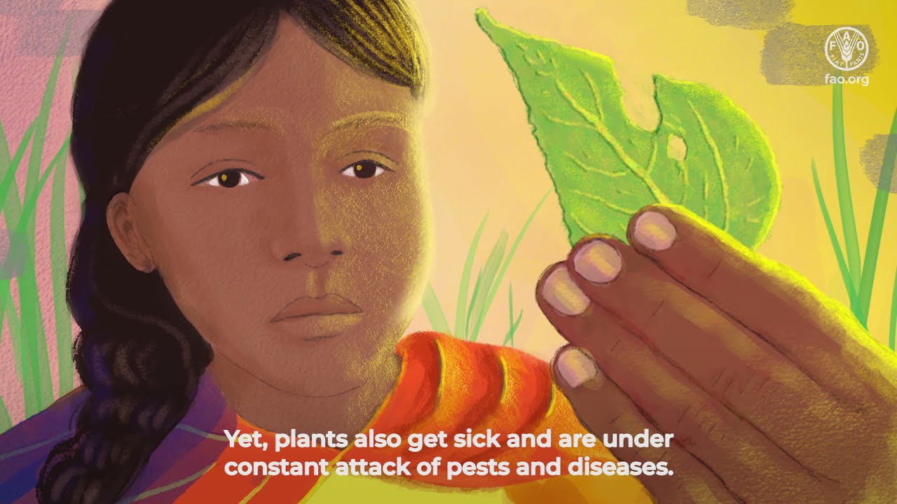 The International Plant Protection Convention