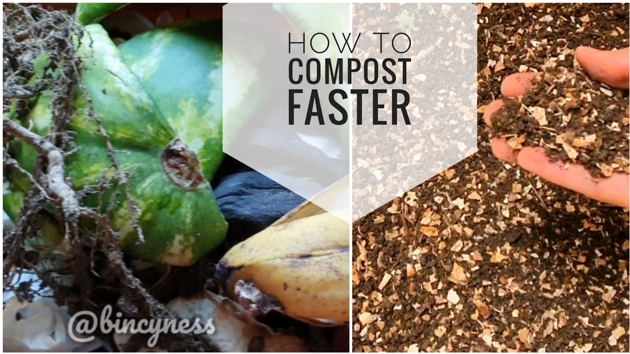 Easy composting during summer|Free fertilizer|Composting in Dubai-Part 3| Bincyness