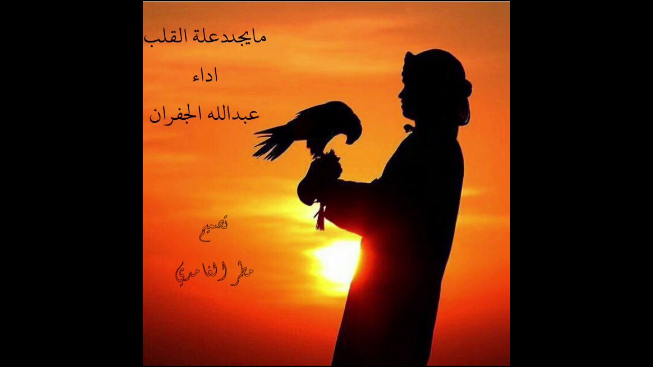 شيلة مايجدد علة القلب