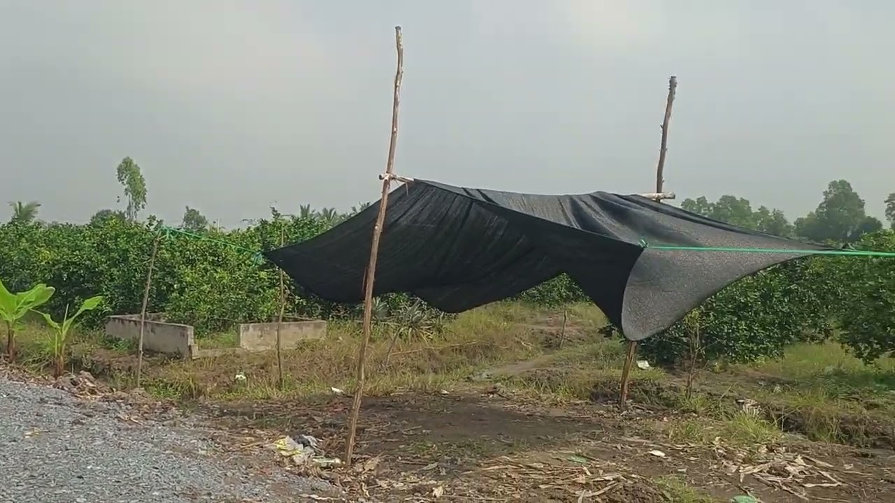 Ms 353/ 650mz 750triu 500mz 490triu 500mz 350triu Sài Gòn 30km LH 0963915438