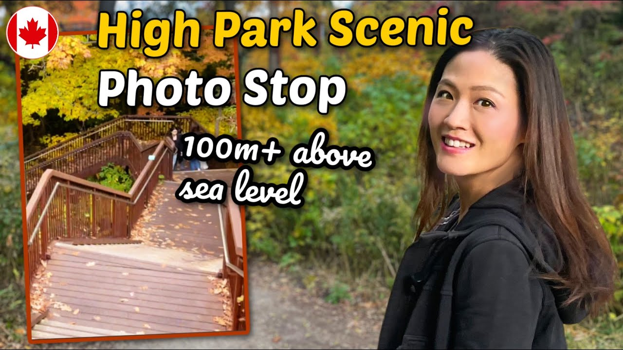 Scenic High Park spot for photo taking in the fall! 🍁📸
