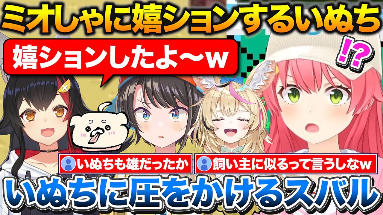 いぬちに嬉ションされたミオしゃ圧をかけるスバル+ポルカがSwitch2に当選してた事を知るみこち【ホロライブ/さくらみこ/大神ミオ/大空スバル/尾丸ポルカ】