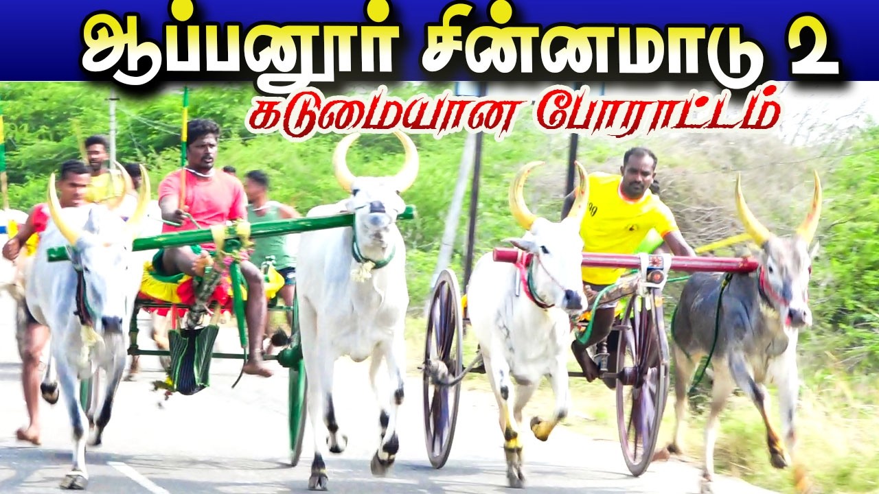 ஆப்பனூர் சின்னமாடு 2 சுற்று 30000 18/03/2026 #krish_studio_kattumavadi