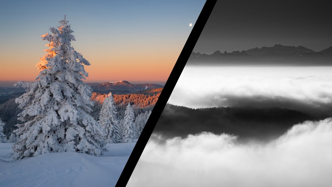 Gute Fotos, schlechte Fotos – Winter 2024/25