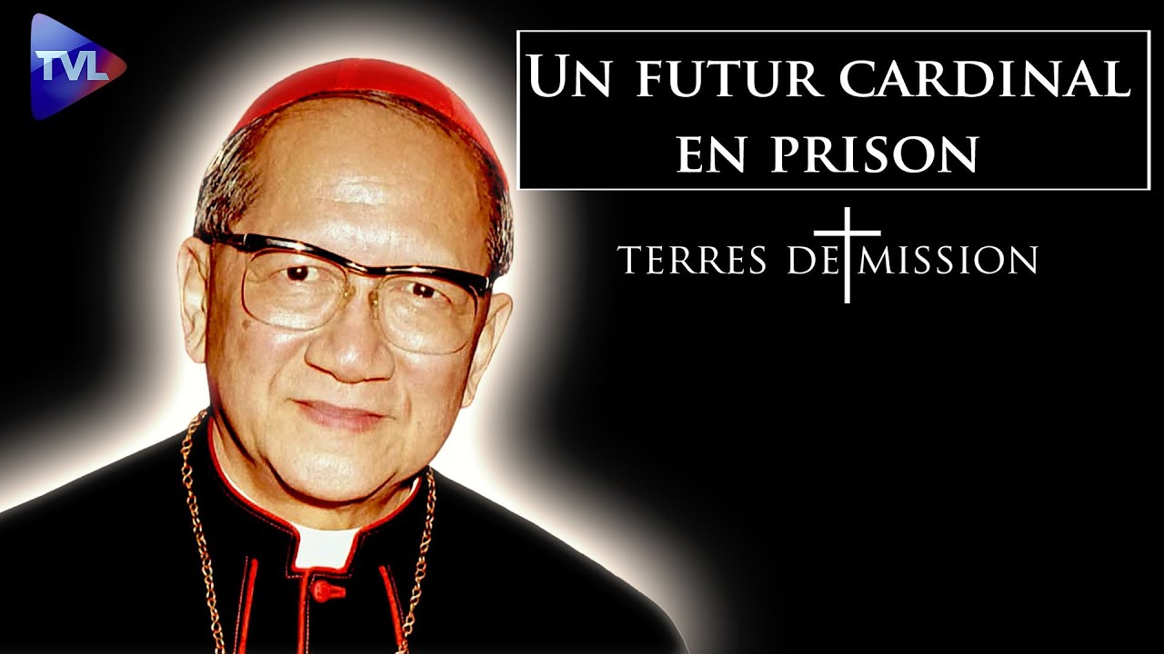Un futur cardinal en prison - Terres de Mission n°426 - TVL