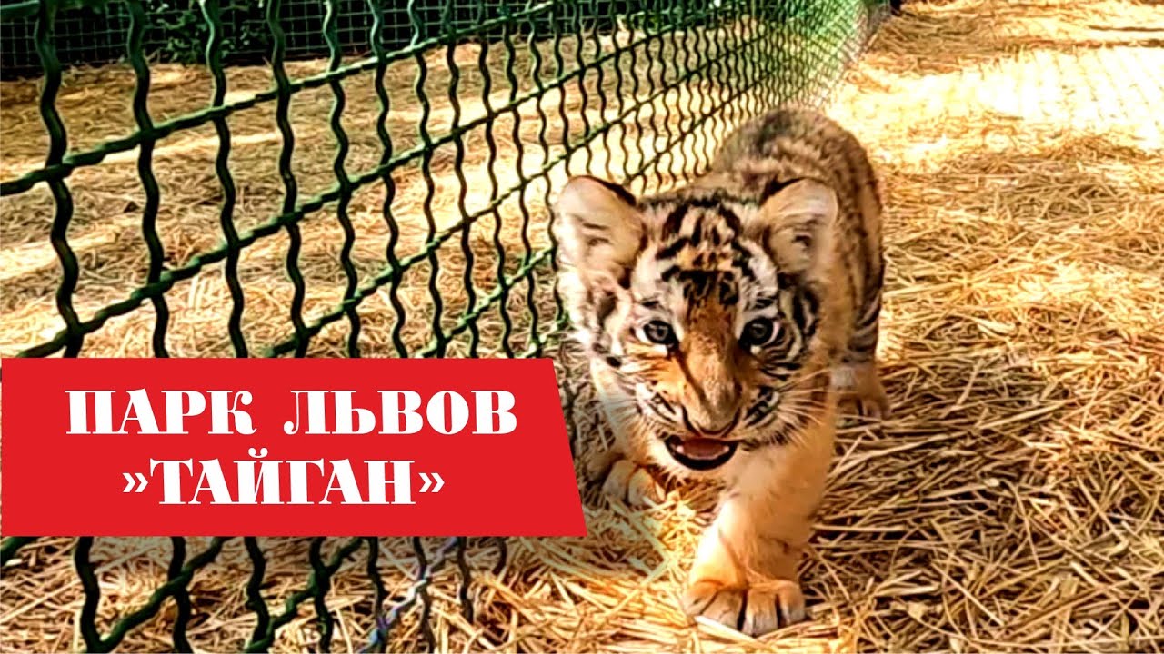 Крым, Парк львов 