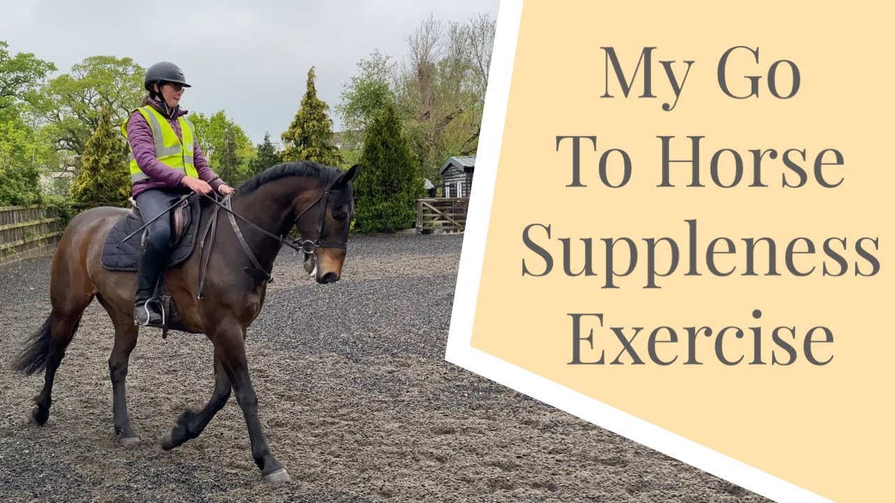 My Go To Horse Suppleness Exercise | Equestrian Training