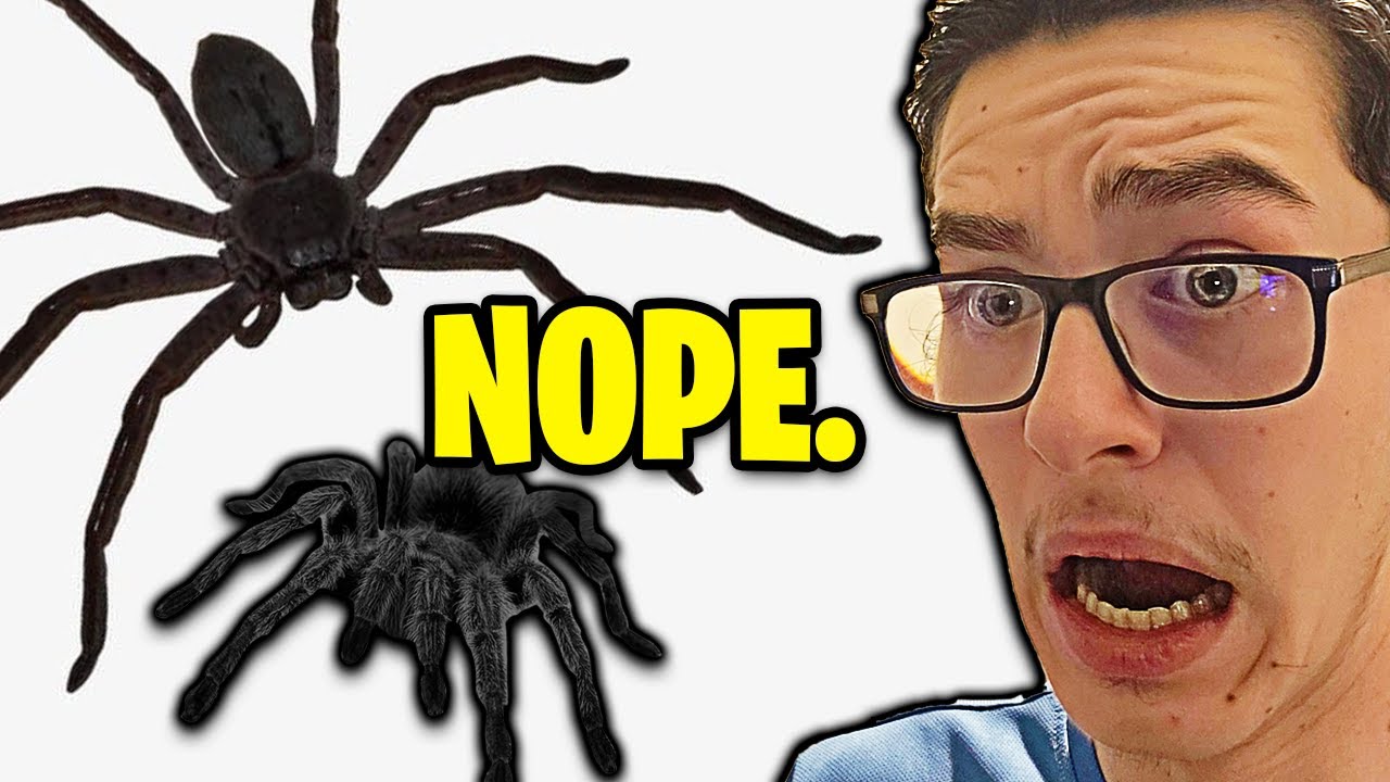 I HATE SPIDERS!!!
