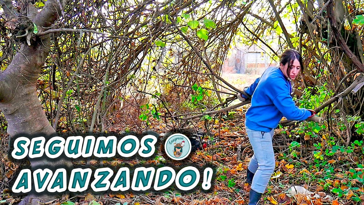 AVANCES en la NUEVA FINCA 🍊 Descubro el ANTIGUO ÁRBOL de MANDARINAS