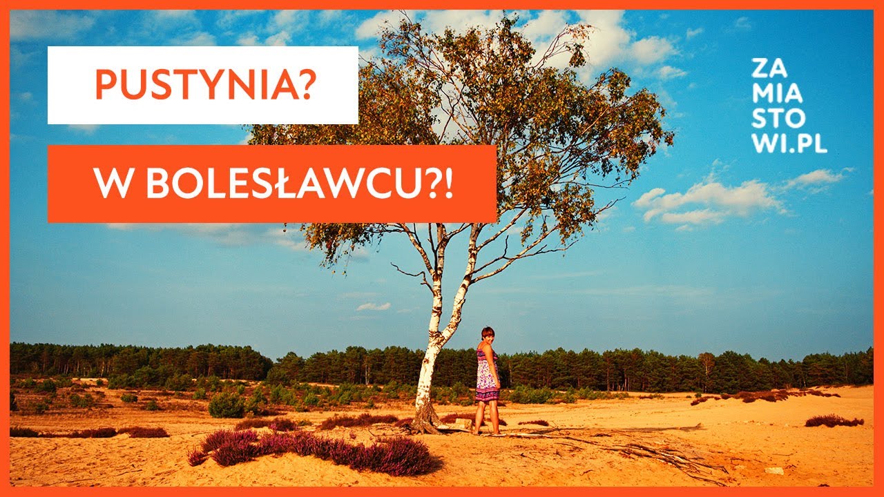 Pustynia w Bolesławcu? Wrzosowa Kraina