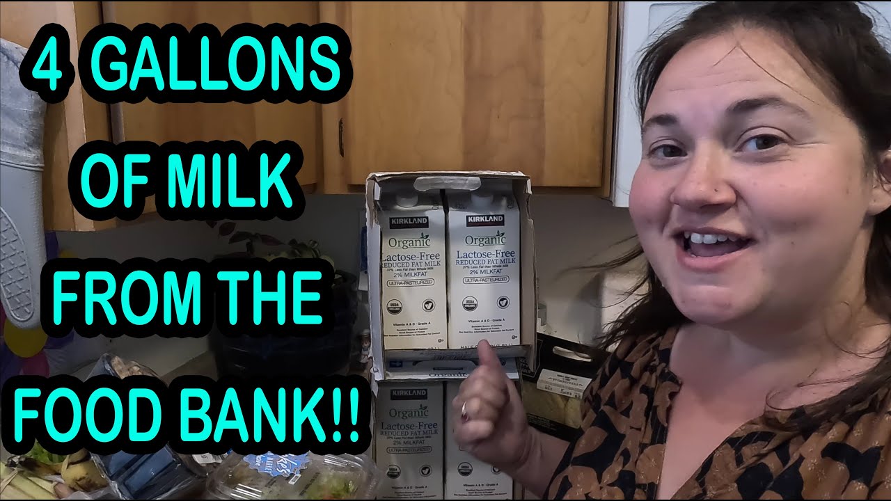 Real Life: Food Bank Grocery Haul & What I Cooked!