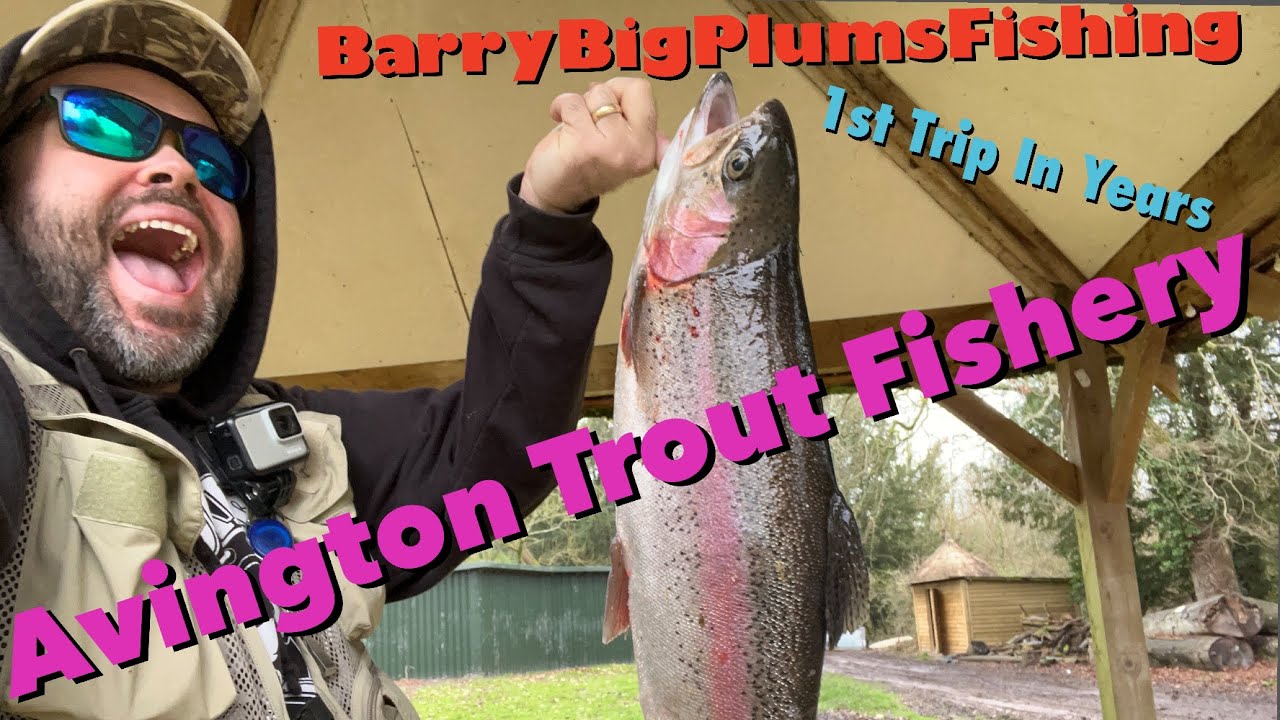 Avington Trout Fishery - My First Trip In Several Years! Chunky Rainbows!