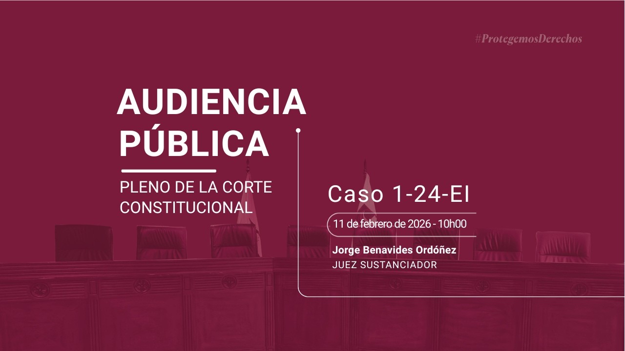 Audiencia Pública Caso No. 1-24-EI
