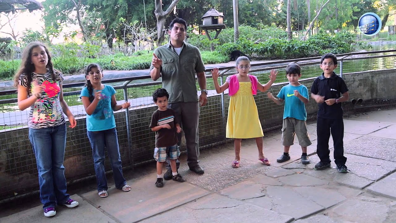 Si yo descendiera del mono - Jonathan Oriel  - Red ADvenir Television HD