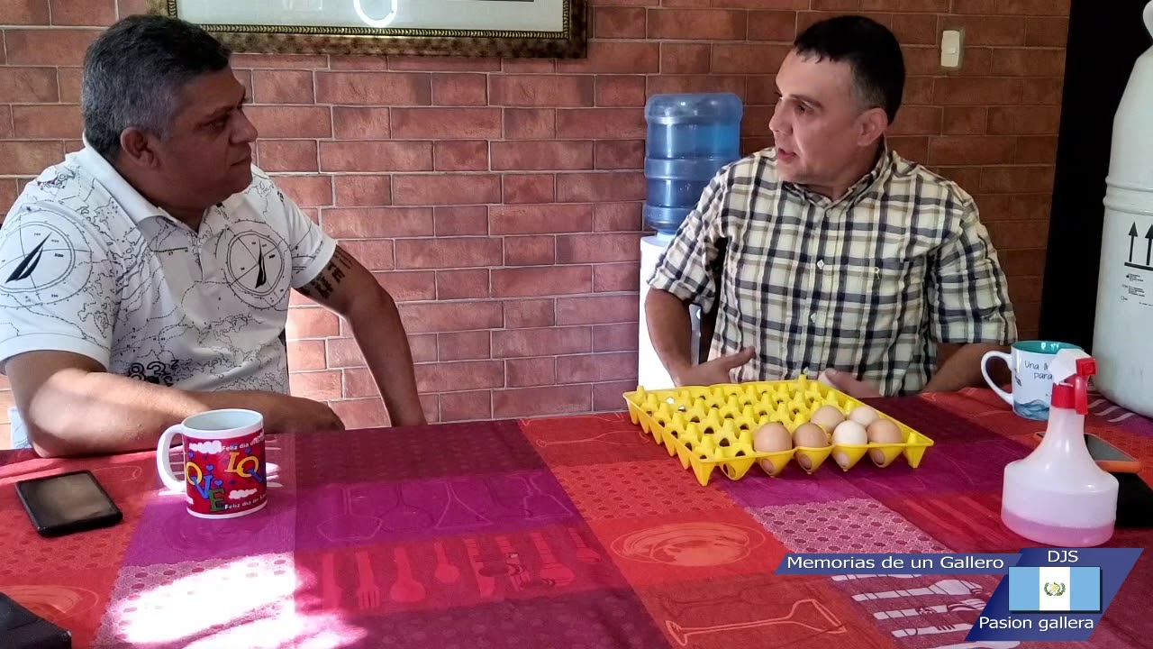 Forma correcta para recolectar e incubar huevos.