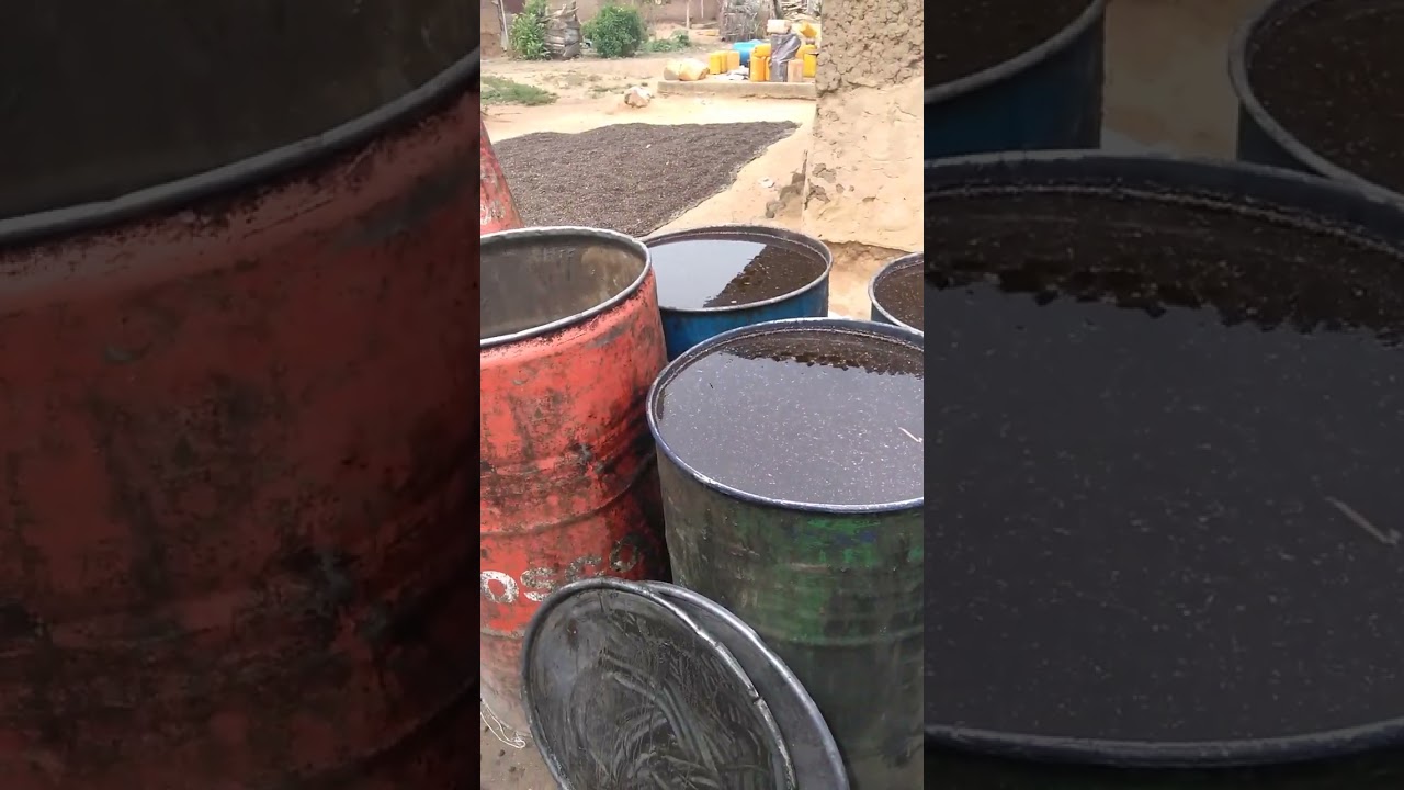 pkc and pko production in Nigeria,a very lucrative business to invest in