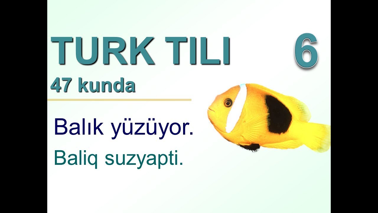 Турк тили 47 кунда 6-кун