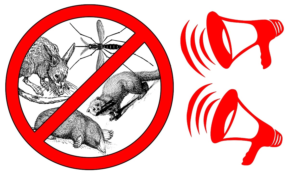 Ultradźwięki - Czyli spos&oacute;b na odstraszenie kun, mysz, kret&oacute;w oraz innych gryzoni | Wersja 10 Godzin