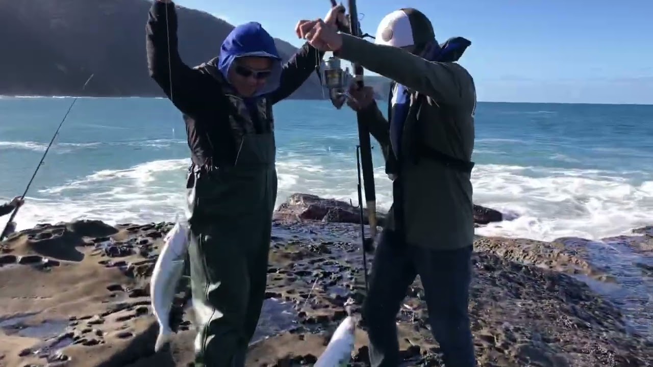 Artillery Rock Lorne...Catching big salmon and snapper..#fishing #fish #fyp #rockfishing #reels