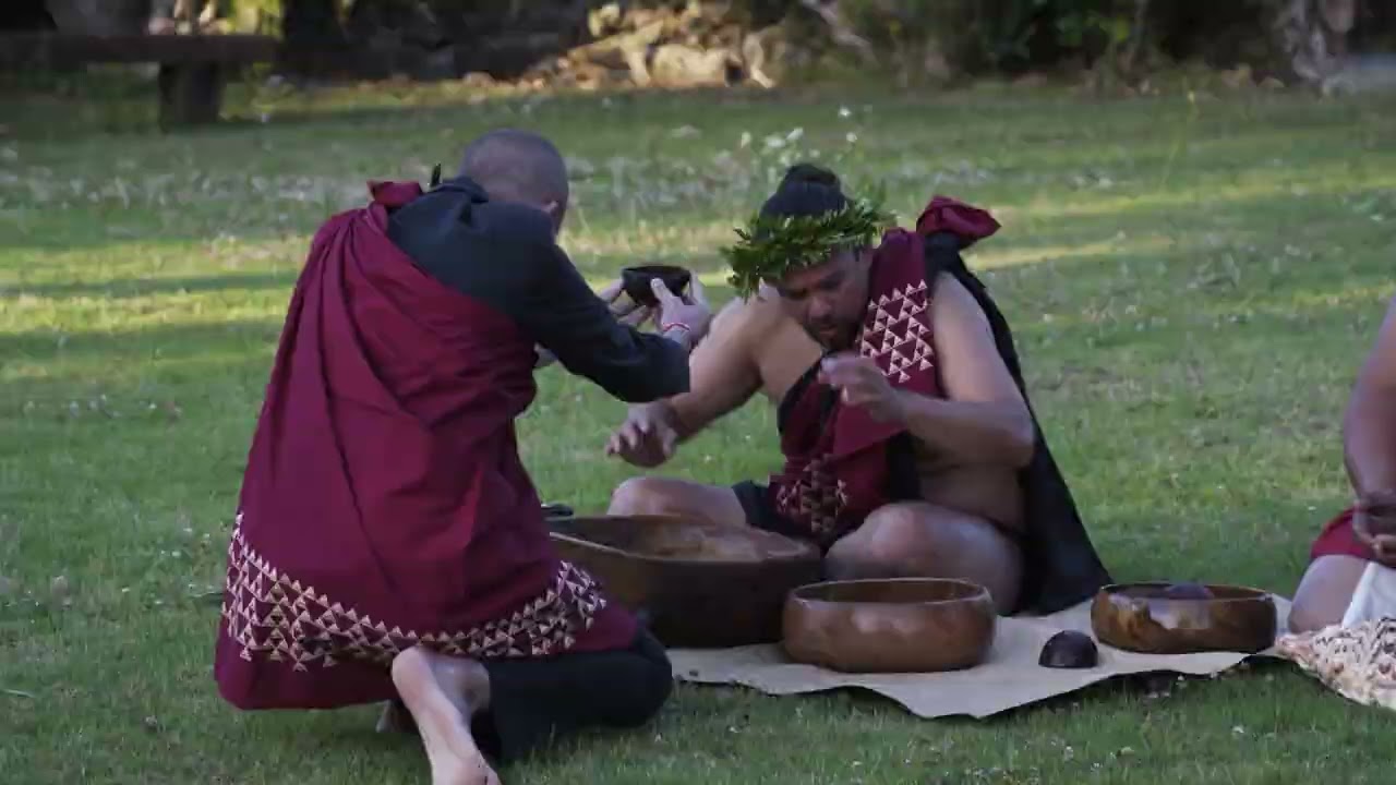 Waitangi Partnership - ʻAha Moananuiākea