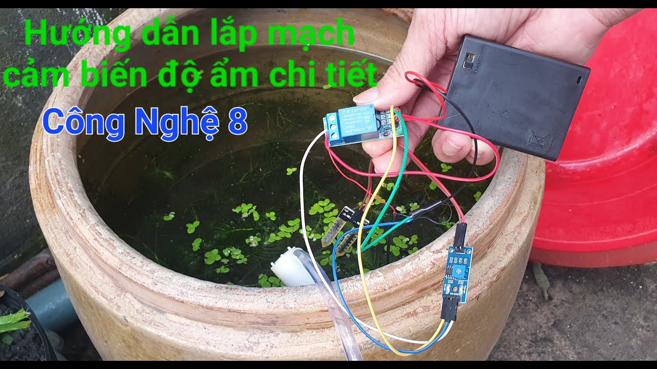 Hướng dẫn lắp mạch cảm biến độ ẩm đất chi tiết