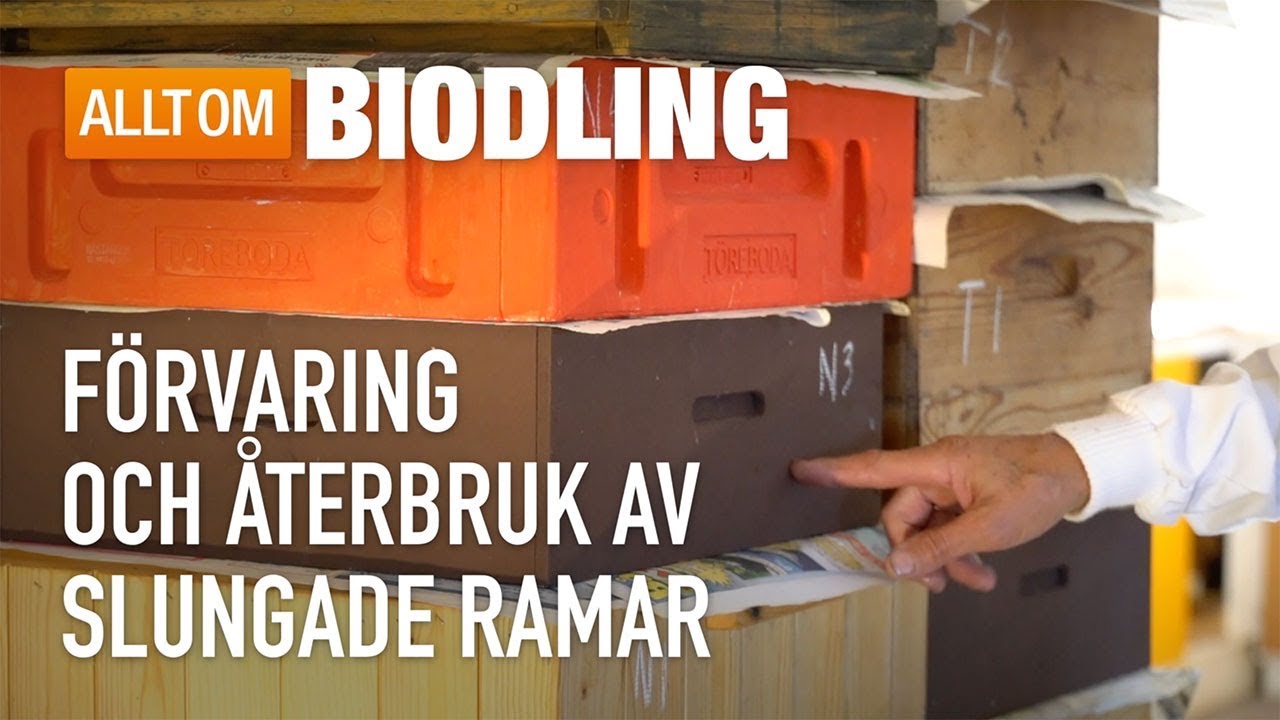 Förvaring och återbruk av slungade ramar - Biodling