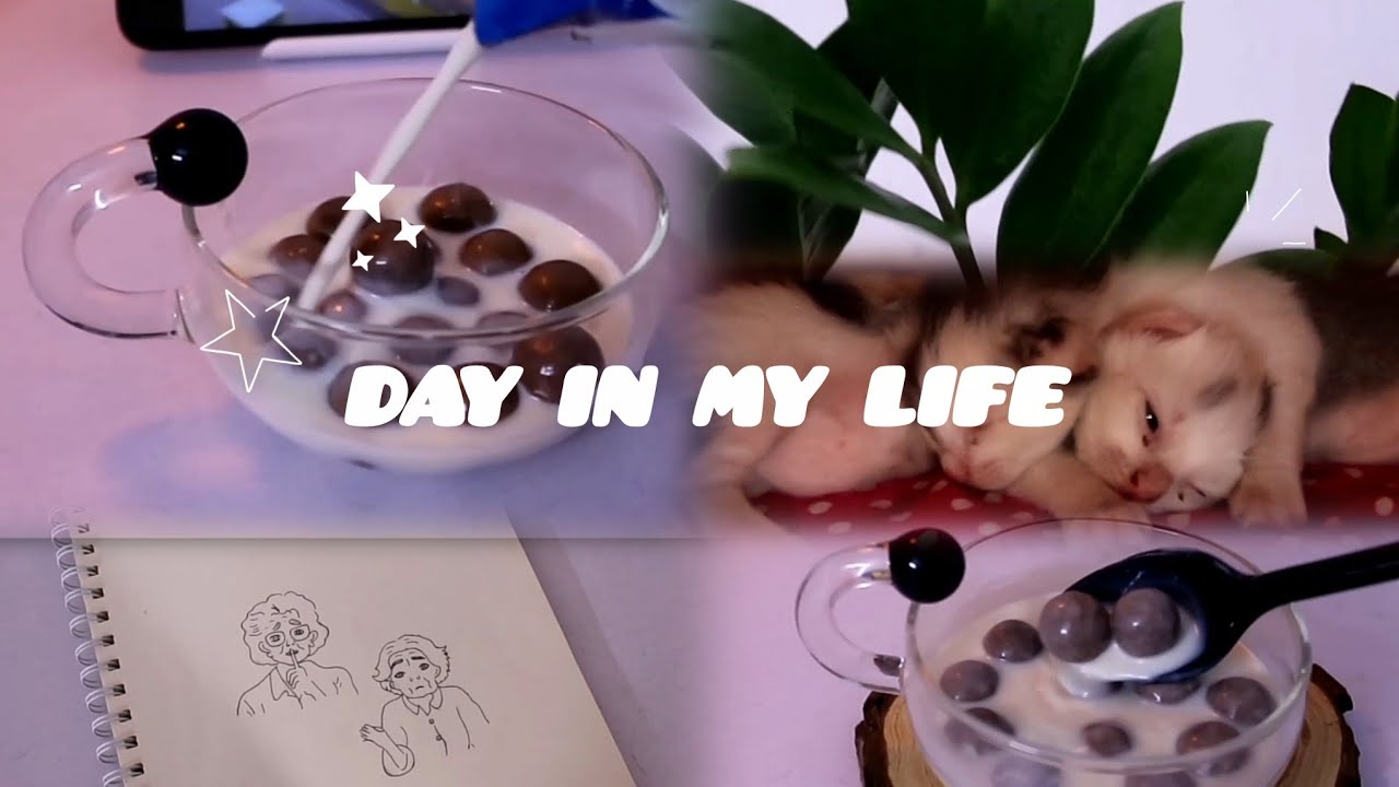 فلوق هادئ | شي إن 🛒 نباتاتي 🌿 رسم كيك 🎂 وضيف مفاجئ 🤍