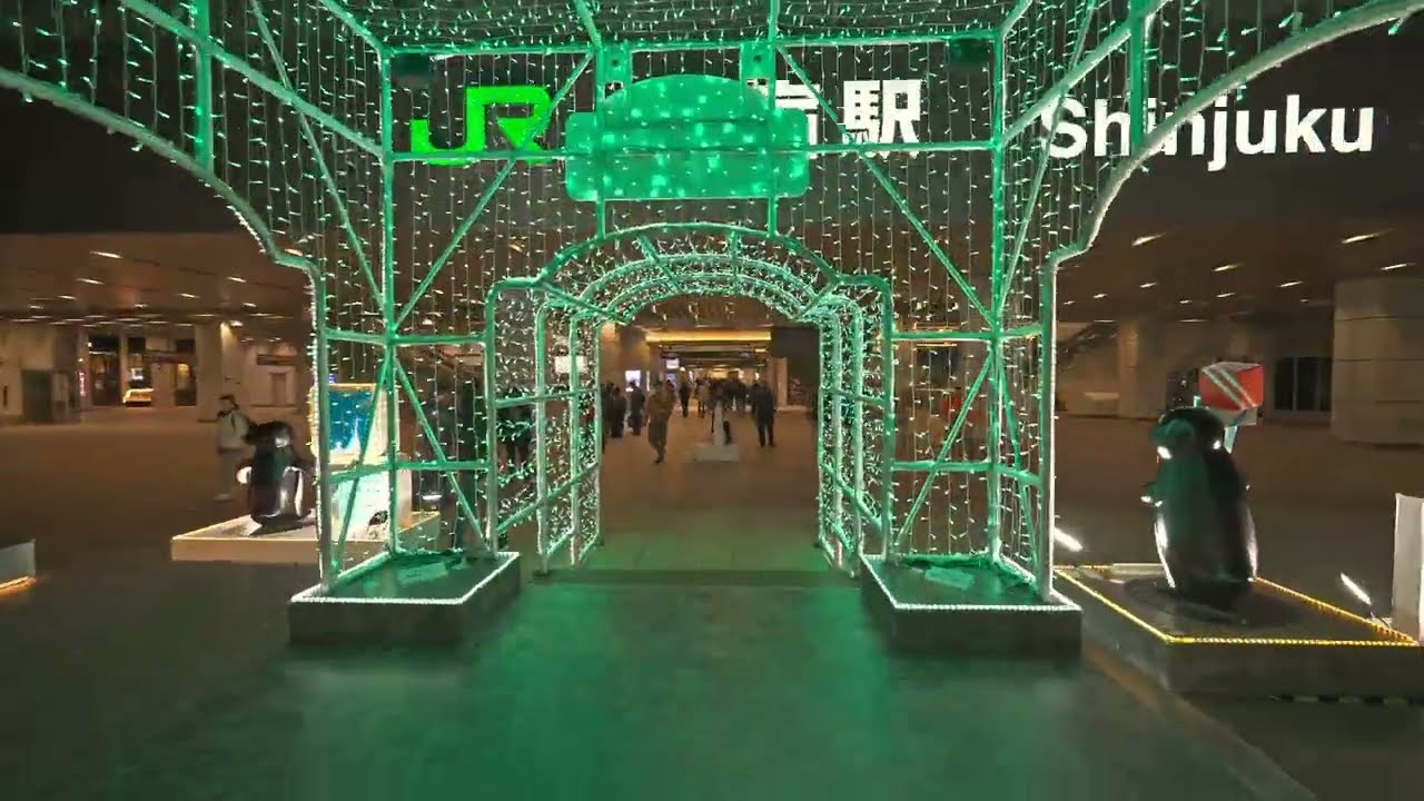 Tokyo walk on New Year night