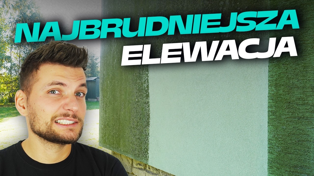 Glony i grzyby na elewacji | Mycie elewacji Śląsk | DOMINIKMALUJE