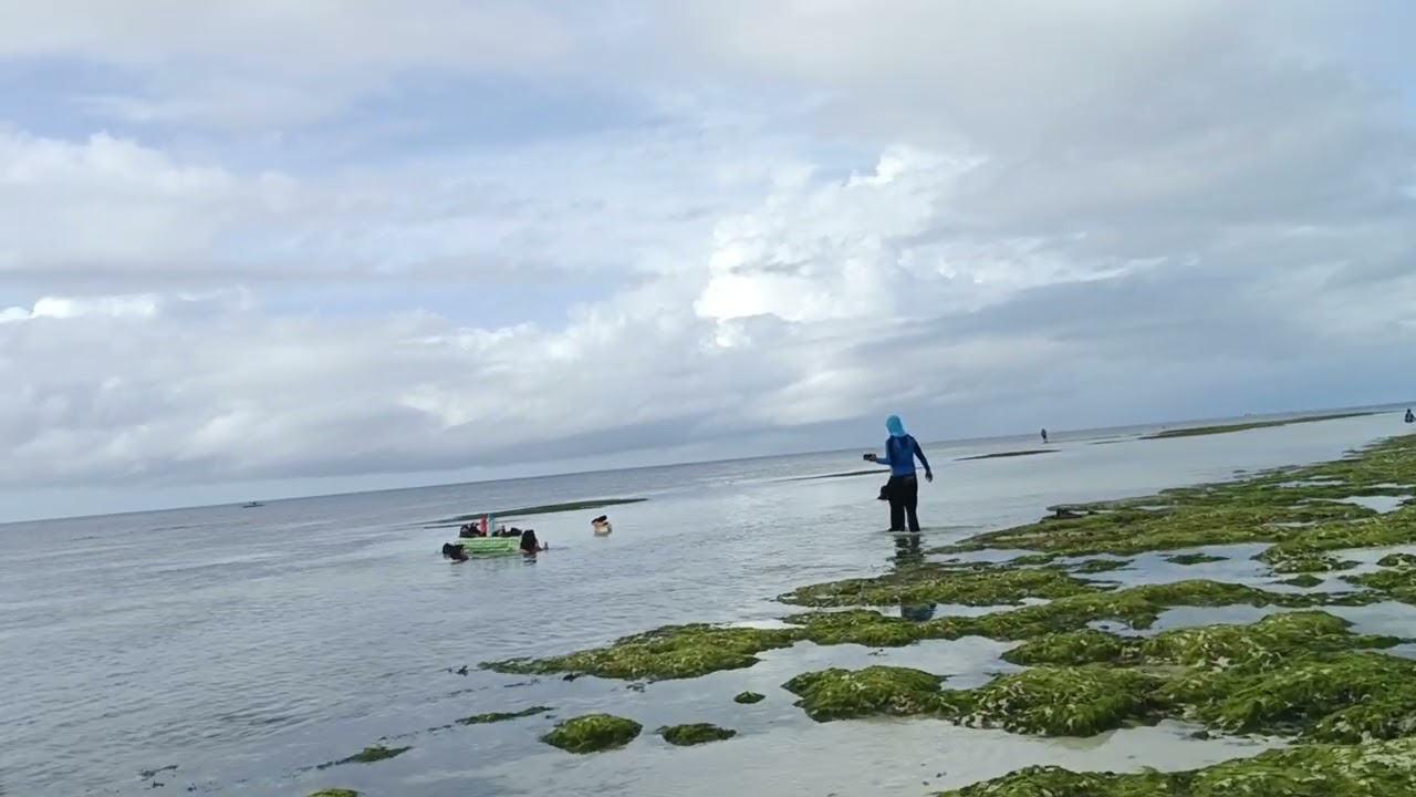Discovering the shores of Poblacion to Bacong Anda Bohol Philippines