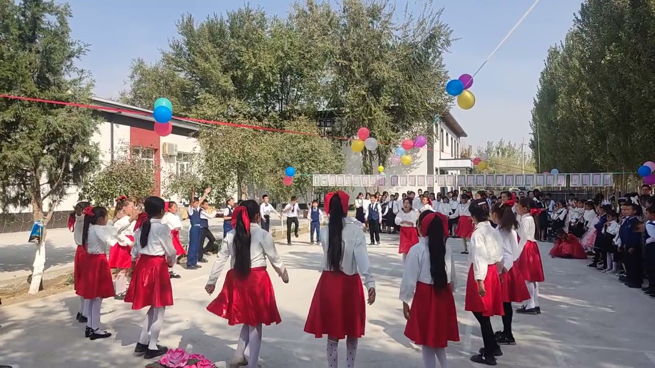 19 ноября 2025 г.