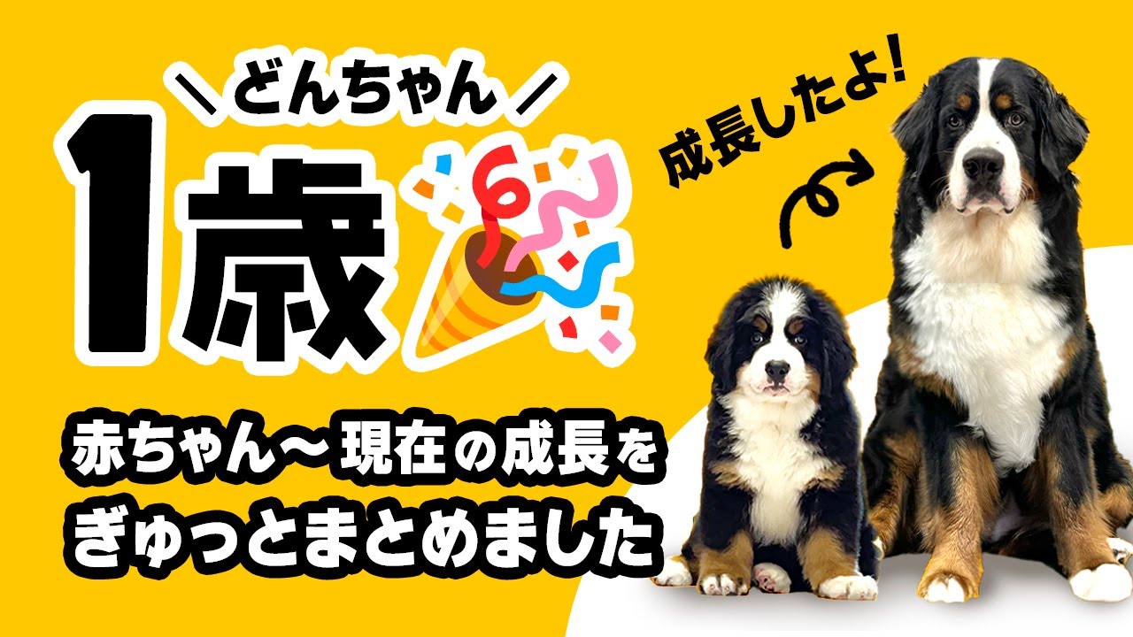 祝1歳🎉 赤ちゃんから1歳までの日常をぎゅっとまとめました