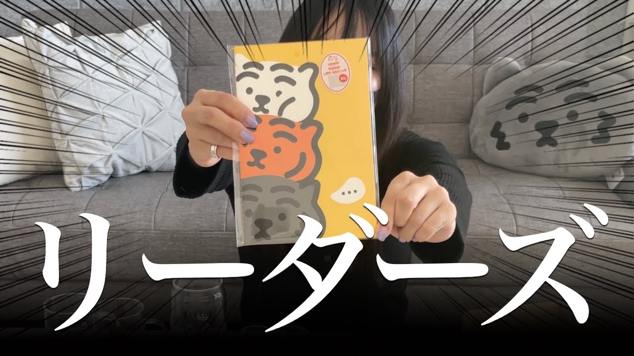 【CARAT】何でもかんでも推しに見えるオタクの購入品紹介【MUZIK TIGER/韓国雑貨】