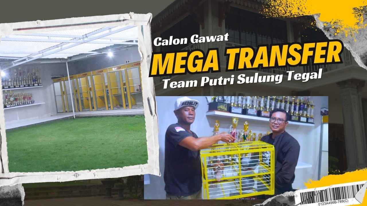 MEGA TRANSFER TEAM PUTRI SULUNG TEGAL | BOYONG CALON PLAYER DARI TEAM REDBLIT