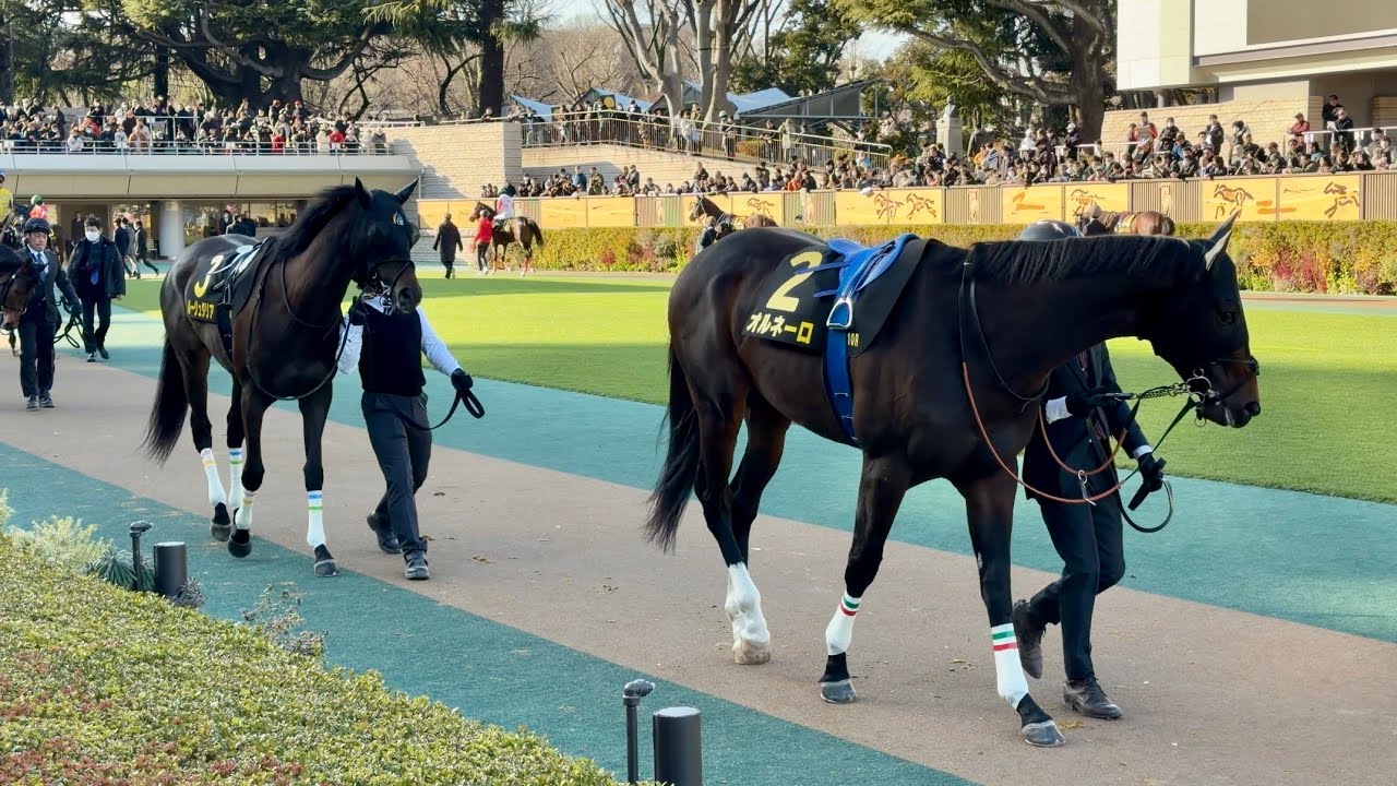 2026年 クロッカスステークスのパドック