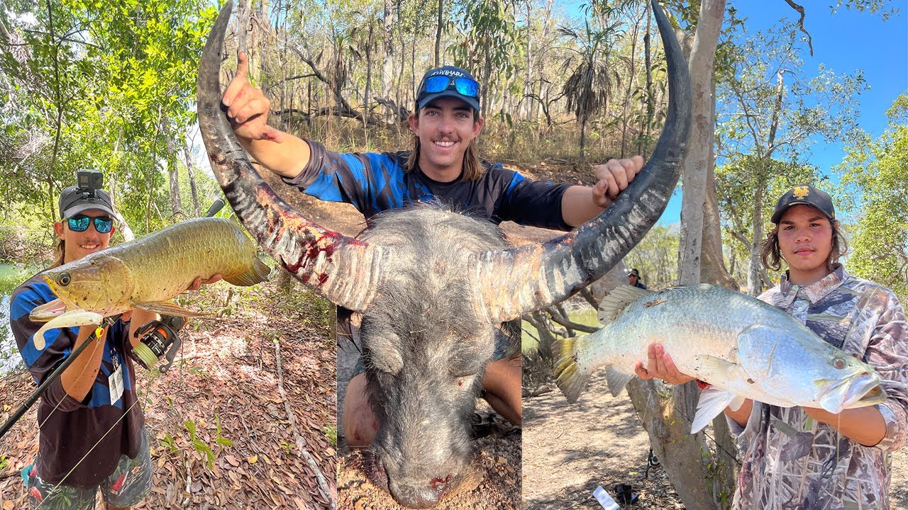BUFFALO HUNTING TO BIG LAND BASED BARRAMINDI!! Does it get any better? Nhulunbuy NT Australia!