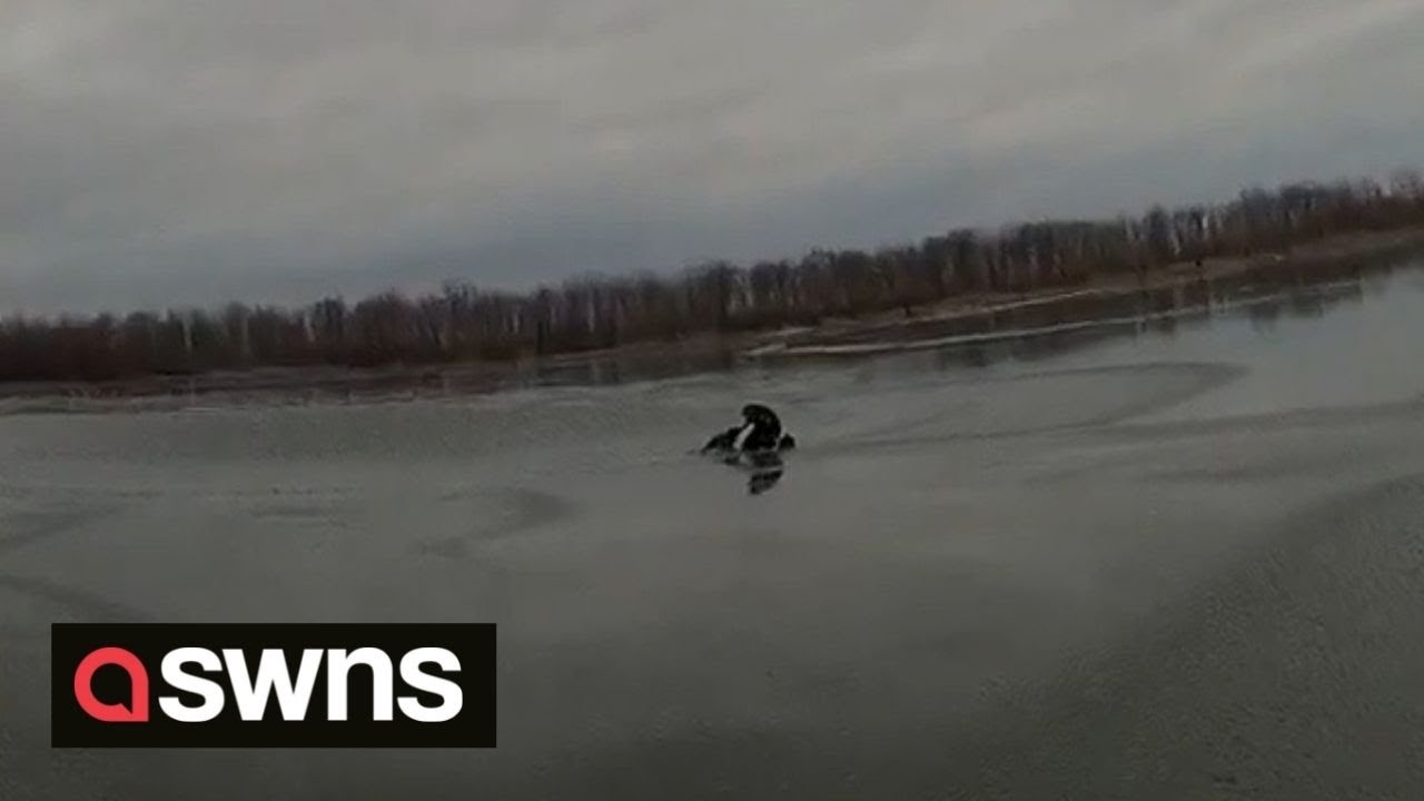 Heroic New York police officer jumps into frozen lake to rescue dog | SWNS