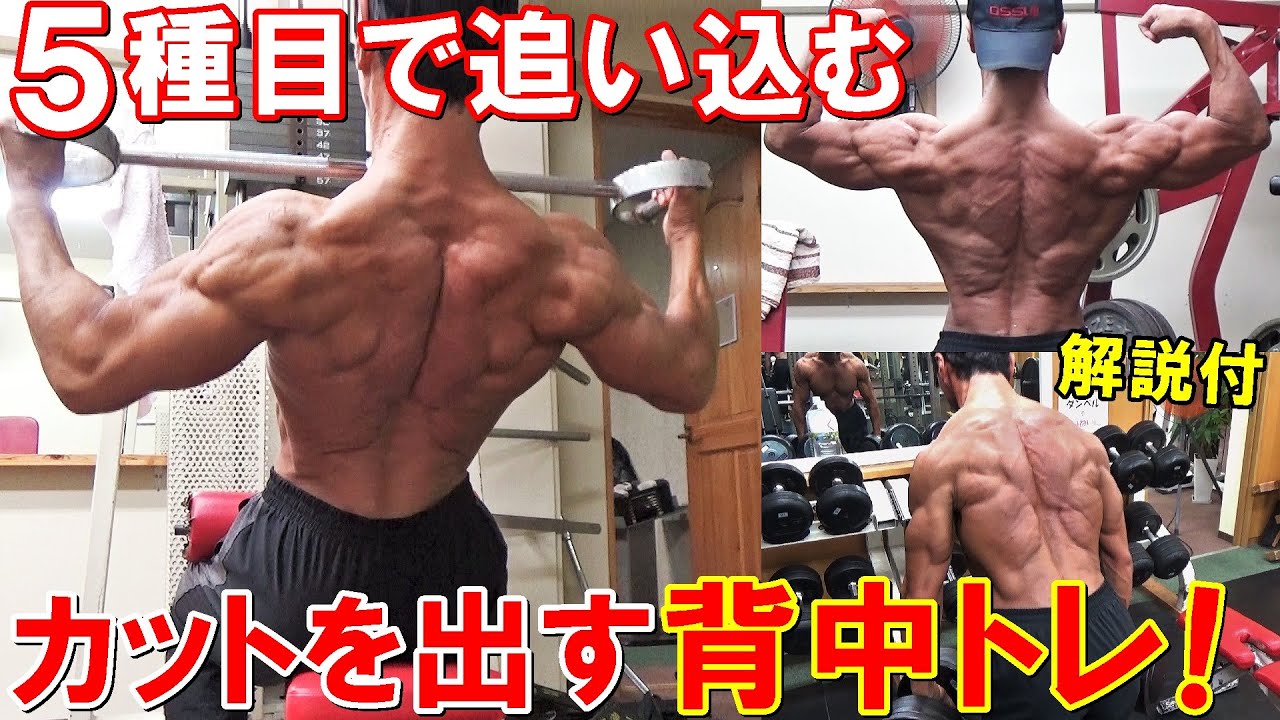 【筋トレ】ボディビル大会2週間前のカットを出す背中のトレーニング！5種目で背中全体を追い込む【解説付】