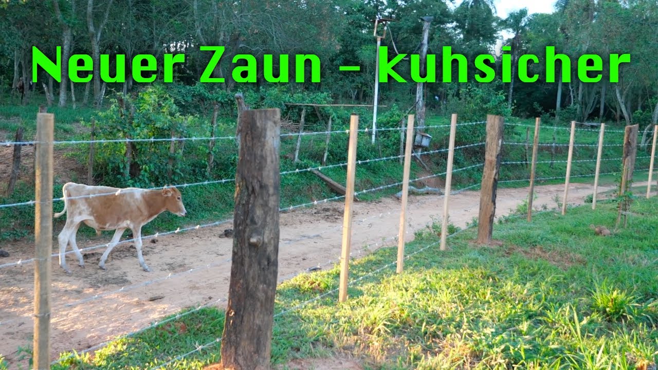 Neuer Zaun mit einigen Hindernissen.