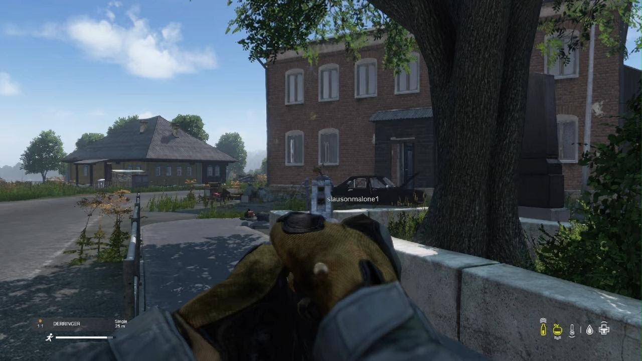 DayZ w Palgayming