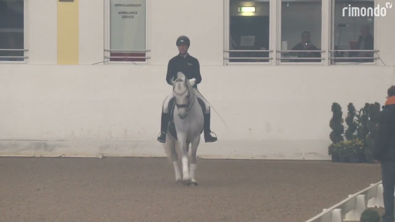 1. Pramwaldhof Hengstschau 2024 DSP BEST SECRET