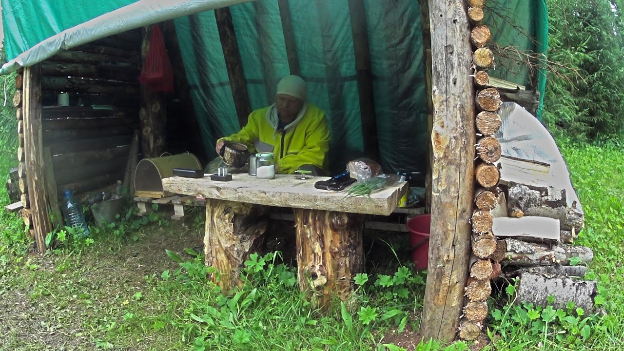 ЛЕСНОЕ ВИДЕО
