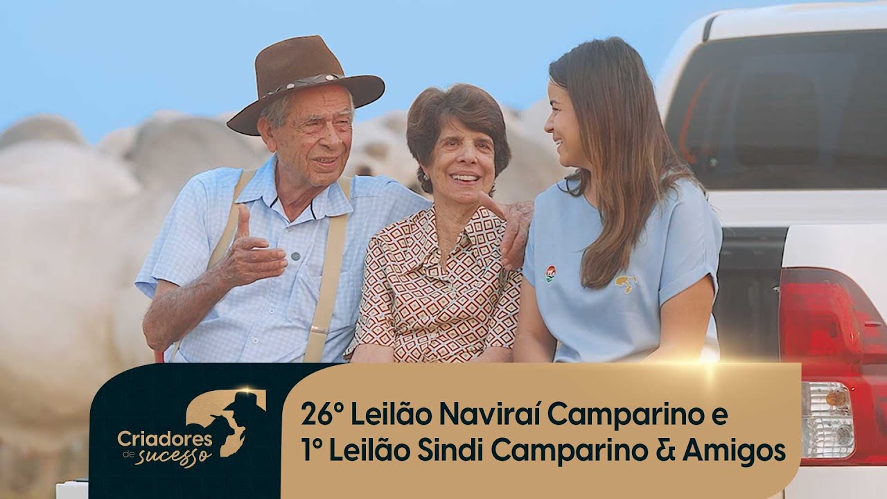 Criadores de Sucesso - 26º Leilão Naviraí Camparino e 1º Leilão Sindi Camparino & Amigos
