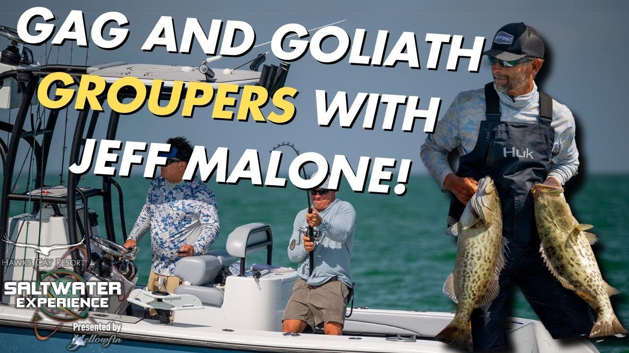 Затонувший GROUPER Джеффа Мэлоуна | Опыт морской воды