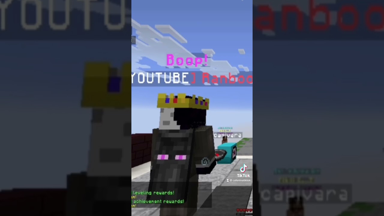 the sound was my EXACT reaction when i saw ranboo #hypickle #hypixel #ranboo