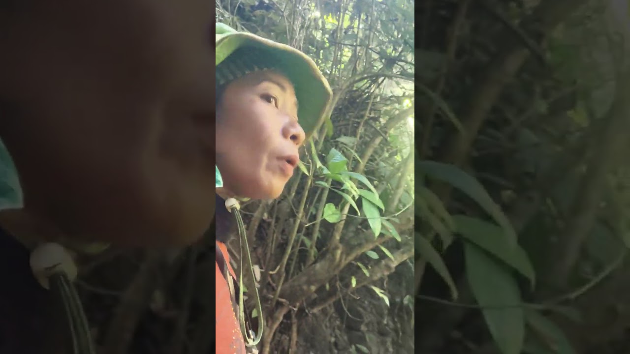 Vawin ka tuan na, hmun anuam teh mai nia lo kal chak te in awm em.😁