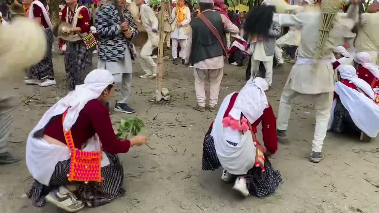 Sakela 2082 