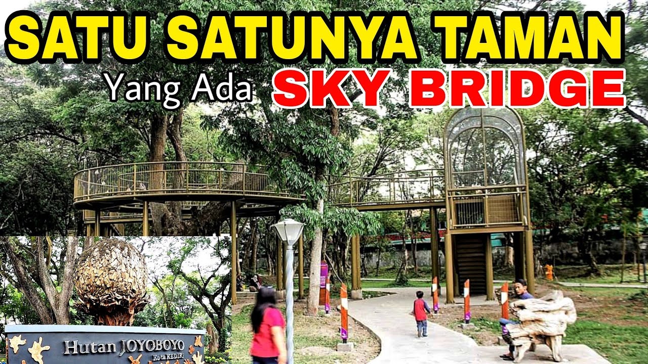GRATIS! Banyak Fasilitas TAMAN Hutan JOYOBOYO KEDIRI Satu Satunya yang Ada sky bridge